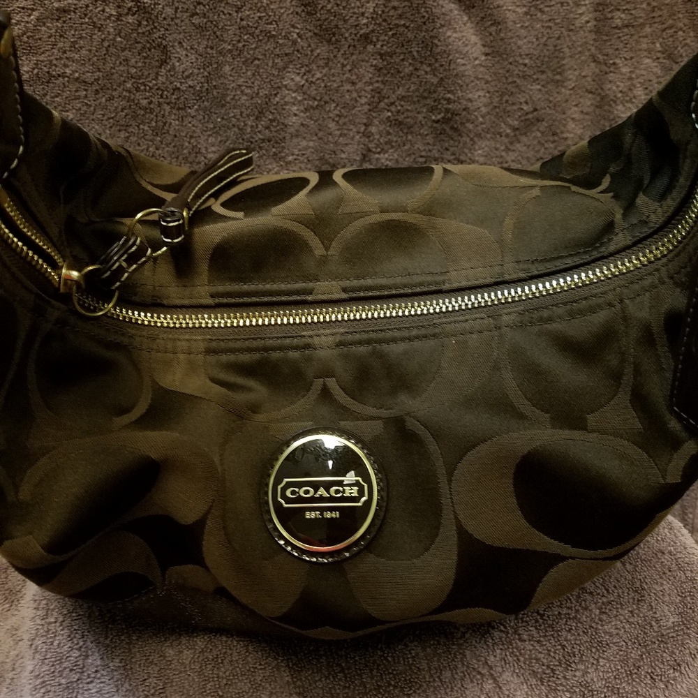 Chocolate Brown Coach purse